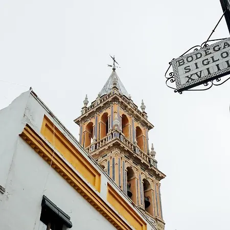Minty - Flota Sevilla